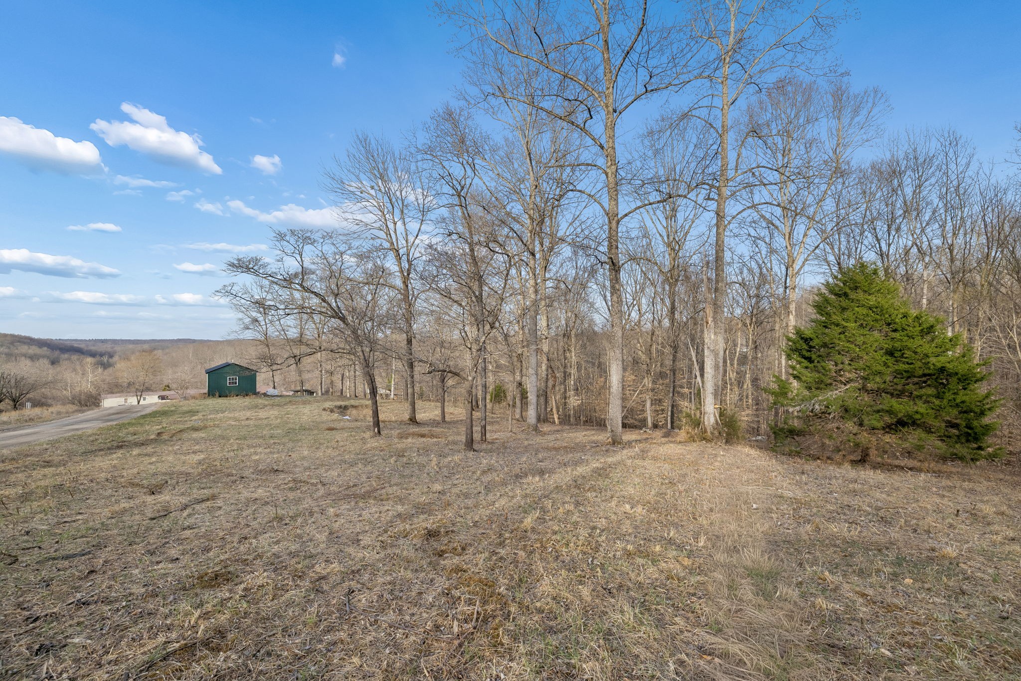 155 Big Ridge Road Indian Mound, TN 37079 - Photo 6 of 18