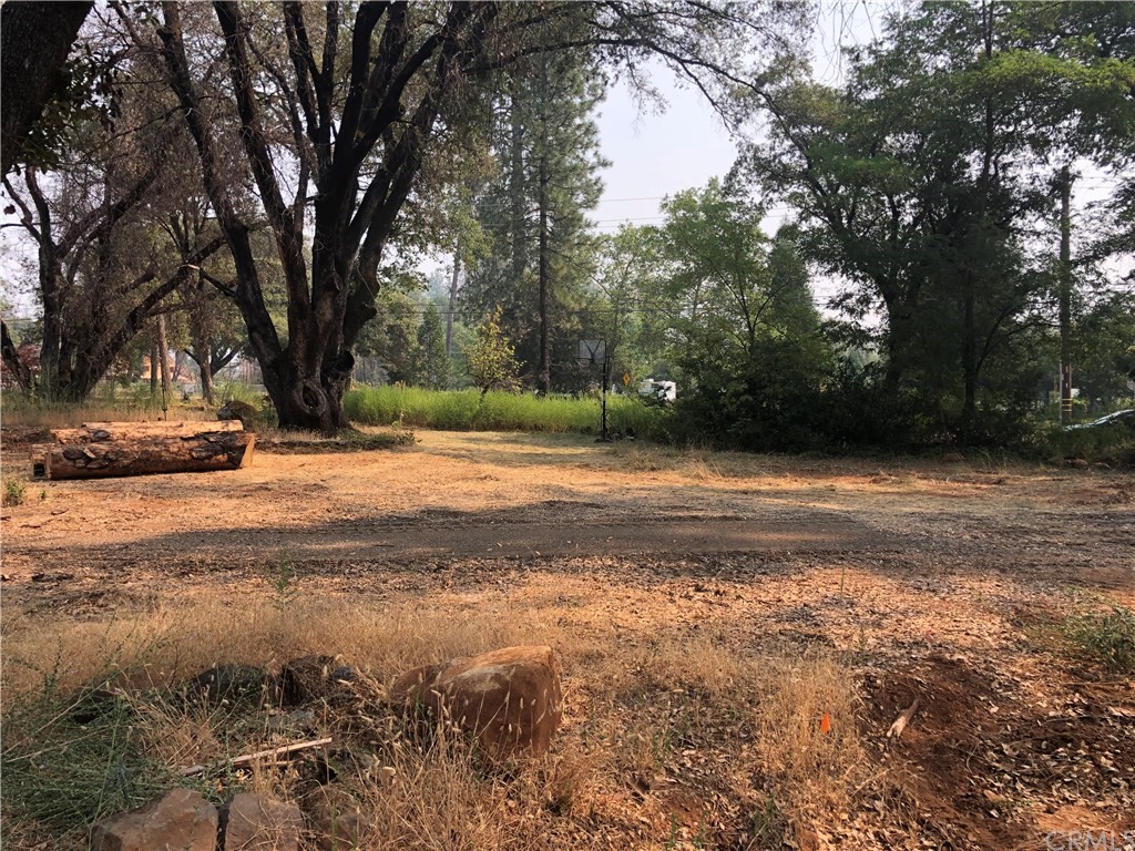 6033 Pentz Road Paradise, CA 95969 - Photo 1 of 6 a view of dirt yard with a large tree