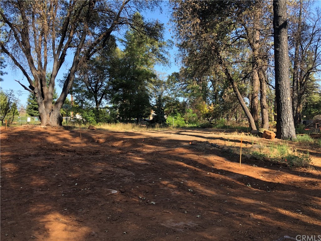 6033 Pentz Road Paradise, CA 95969 - Photo 2 of 6 a view of dirt yard with a large tree