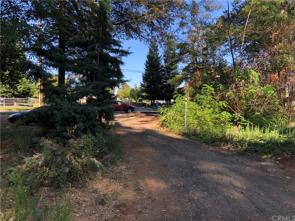 6033 Pentz Road Paradise, CA 95969 - Photo 3 of 6 a view of a forest with trees