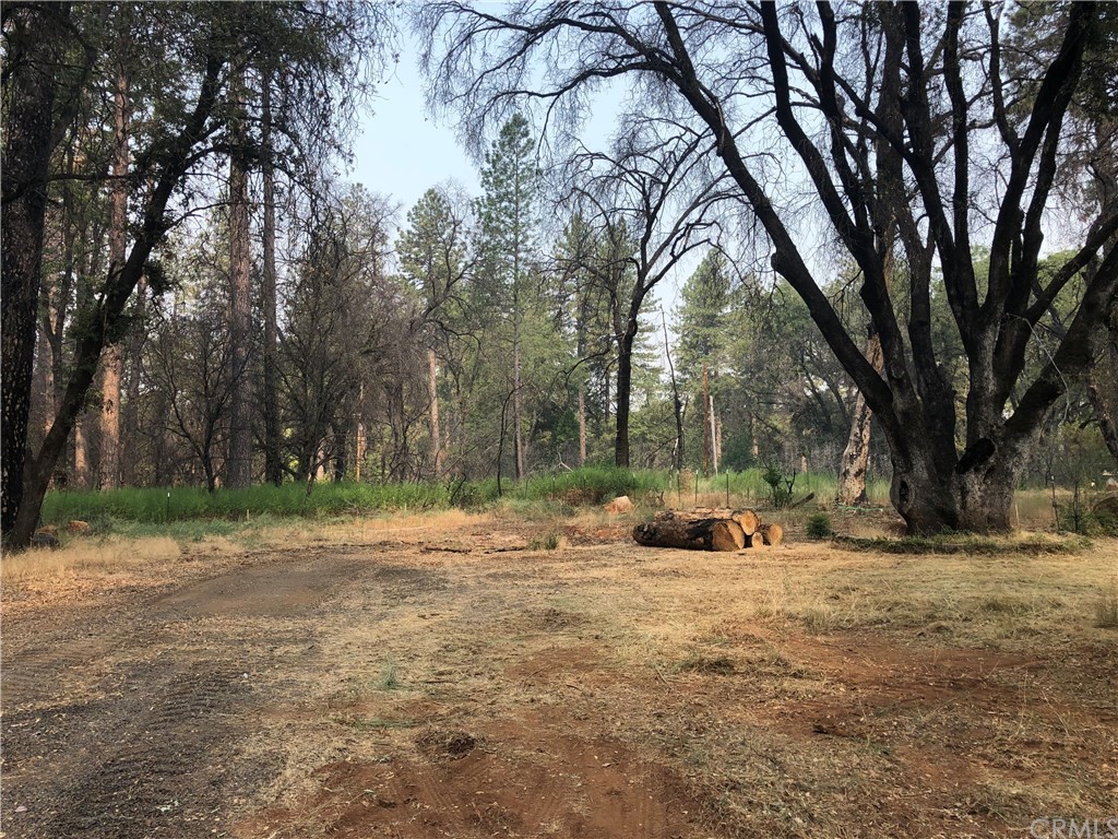 6033 Pentz Road Paradise, CA 95969 - Photo 4 of 6 a backyard of a house with trees and entertaining space