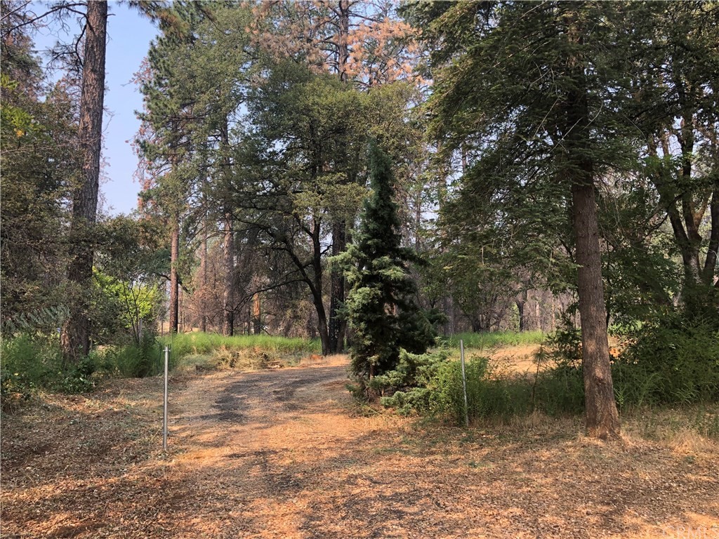 6033 Pentz Road Paradise, CA 95969 - Photo 5 of 6 a big yard with flowing stream of water in middle
