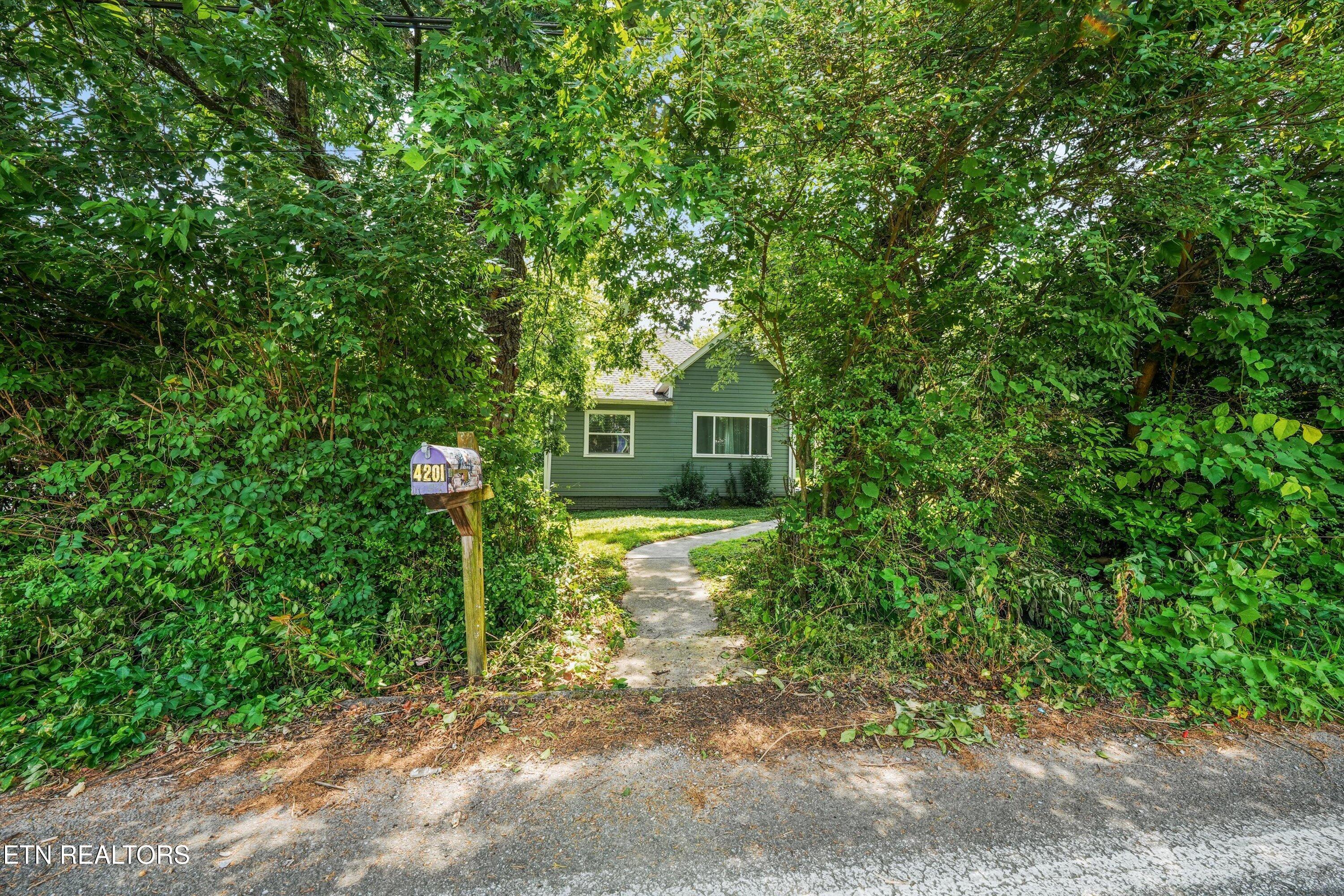 4201 Coster Road Knoxville, TN 37912 - Photo 5 of 32 04-4201 Coster Rd 36