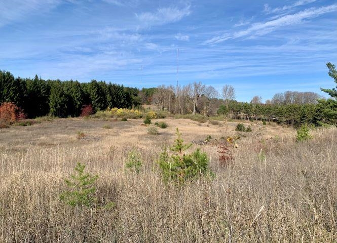 Tbd Lone Tree Road Traverse City, MI 49685 - Photo 16 of 22