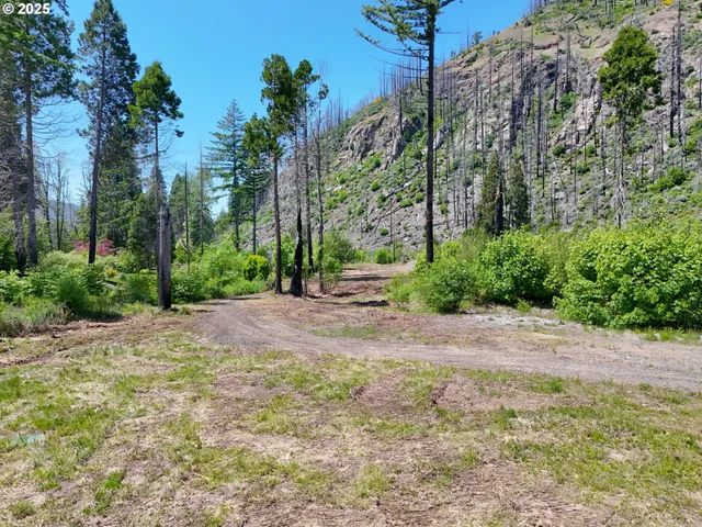 $359,100 | 52984 McKenzie Highway, Blue River, OR 97413