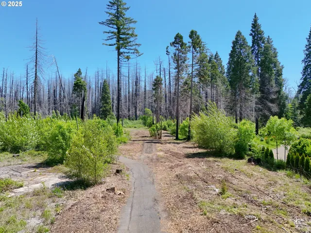 $359,100 | 52984 McKenzie Highway, Blue River, OR 97413