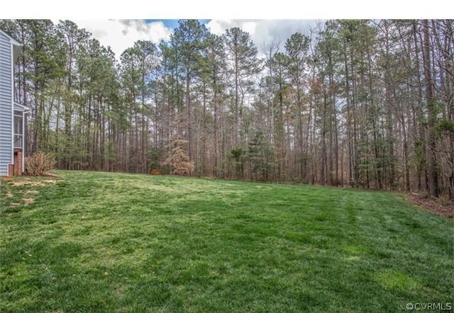 14313 Princess Mary Road Chesterfield, VA 23838 - Photo 45 of 48 a view of a yard with large trees