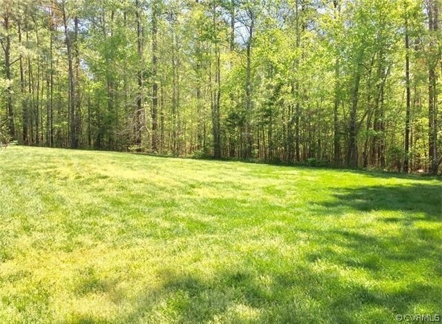 14313 Princess Mary Road Chesterfield, VA 23838 - Photo 46 of 48 a view of a yard with a trees