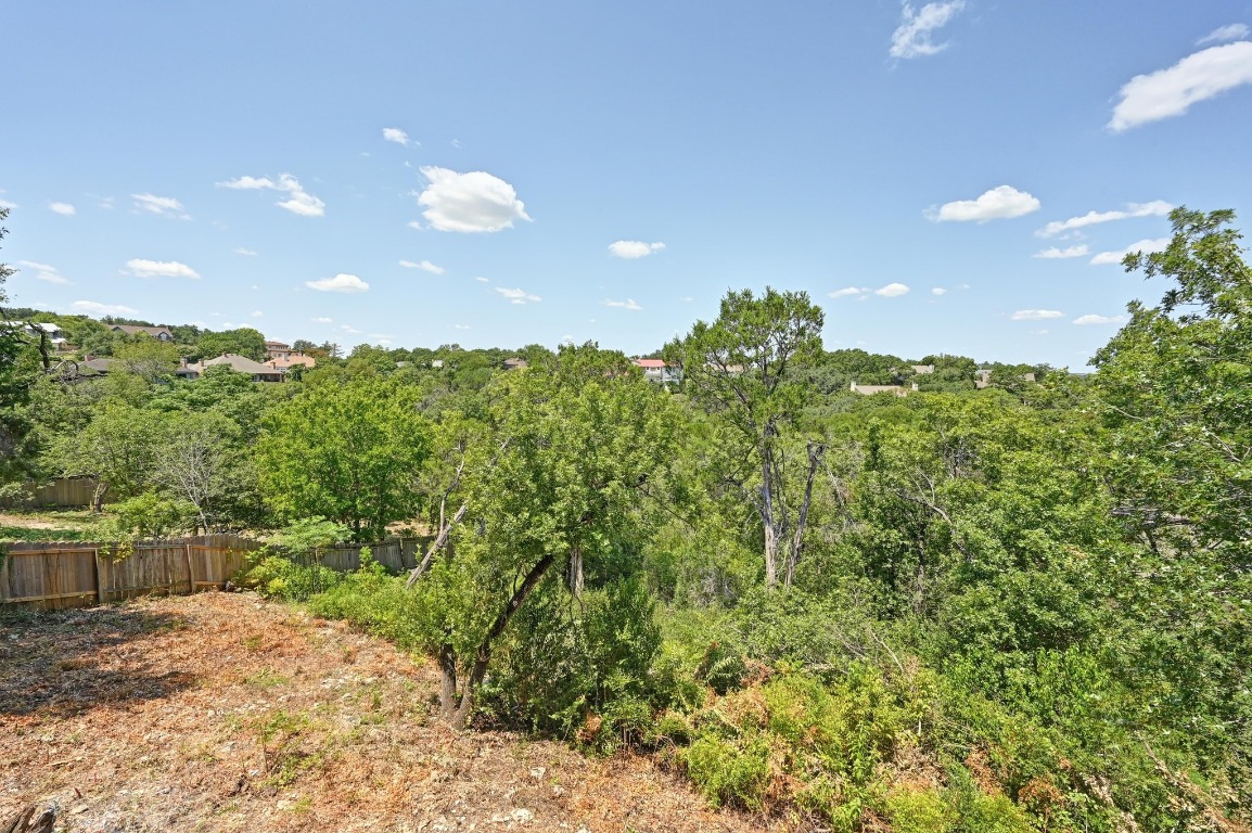 3510 Native Dancer Cove Austin, TX 78746 - Photo 28 of 35 a view of a bunch of plants and trees