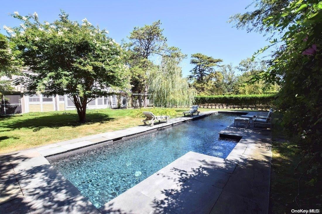 a view of a yard with plants and large trees