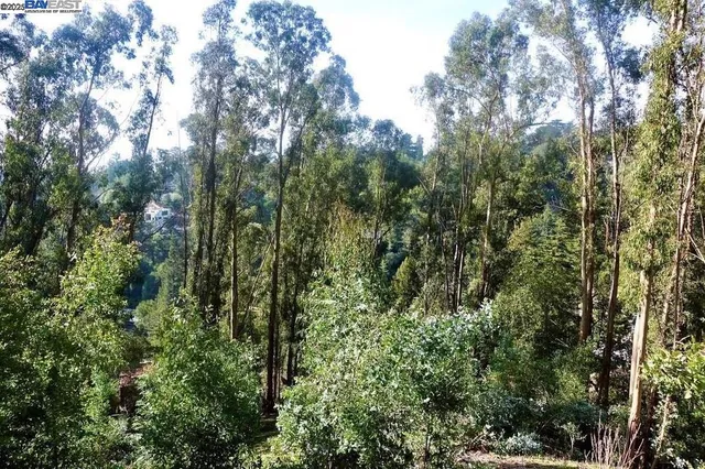 a view of street with lots of trees