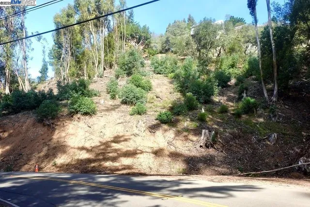 a view of street with lots of trees