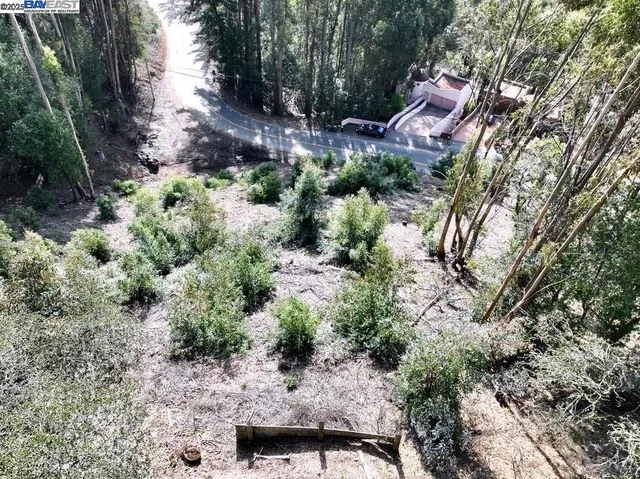 a view of a yard with a tree