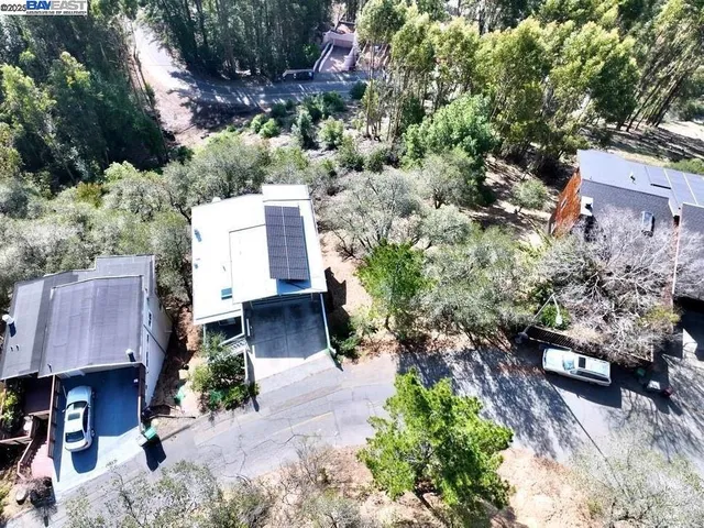 a view of a yard with plants