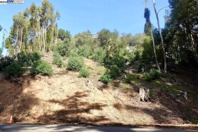 a view of a yard with plants and trees