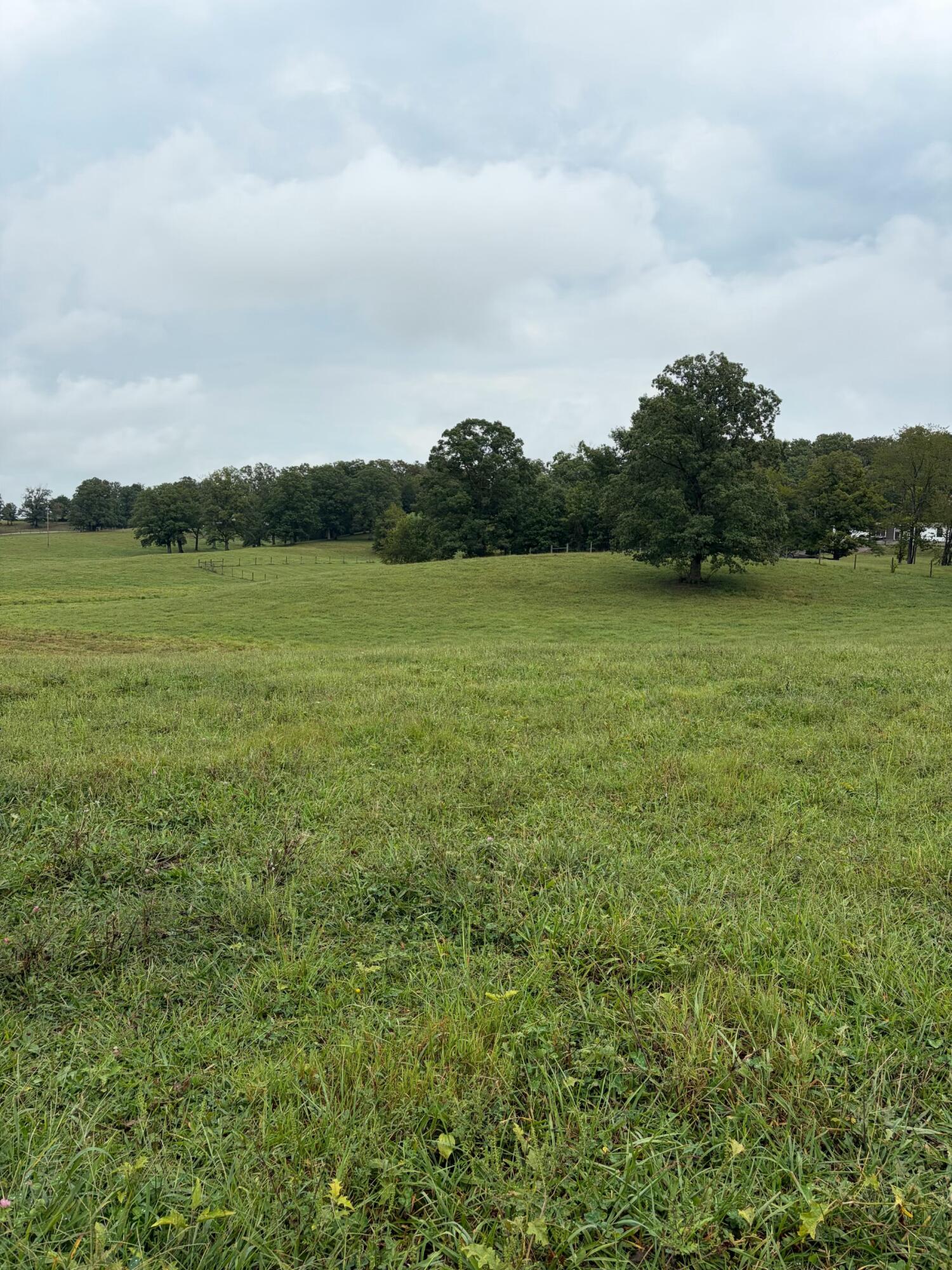 9999 Kiddville Road Winchester, KY 40391 - Photo 4 of 6 1