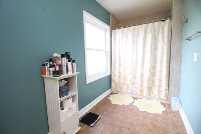 21125 Hillside Road Frankfort, IL 60423 - Photo 22 of 33