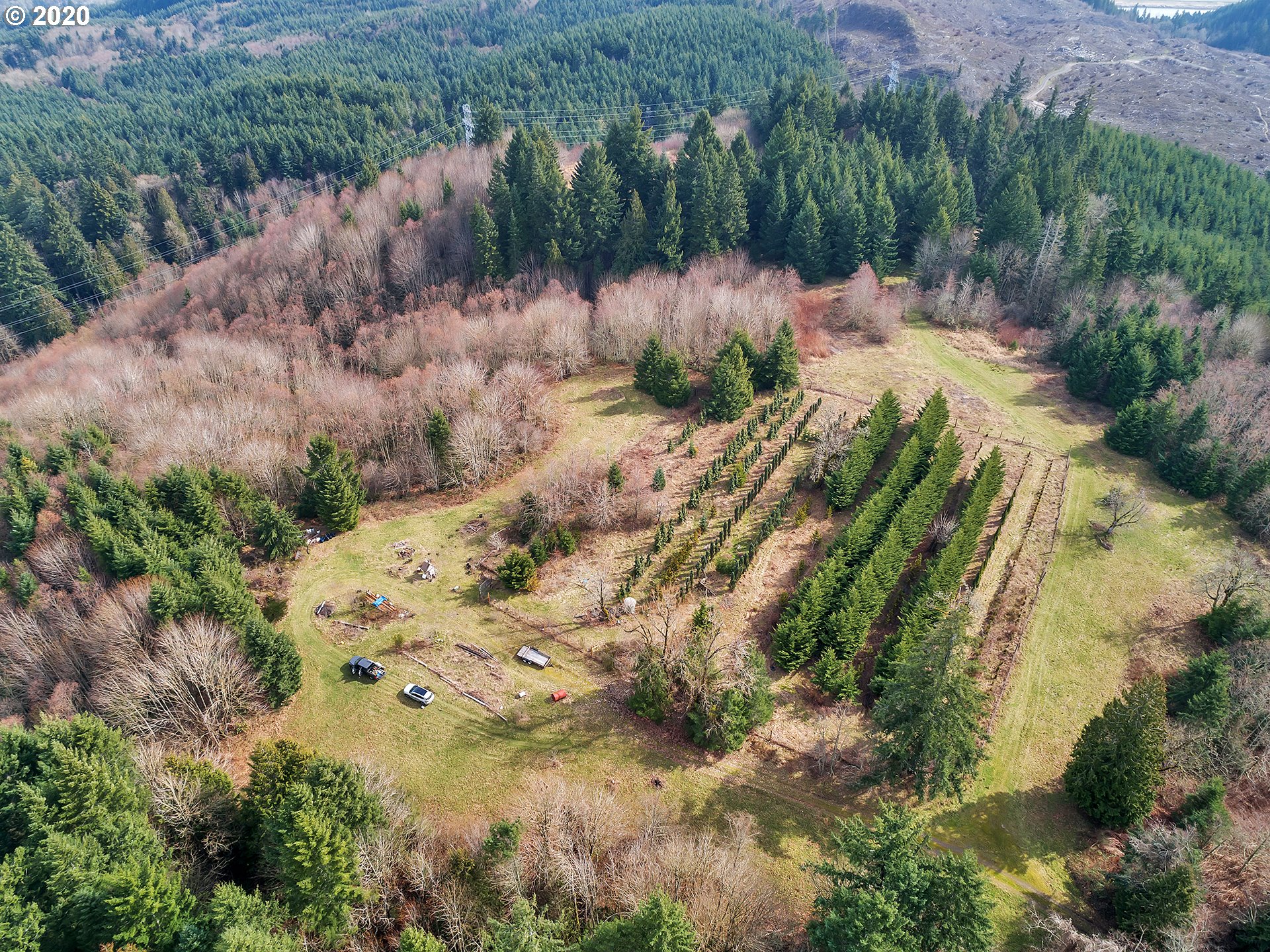 20957 Rocky Point Road Scappoose, OR 97056 - Photo 11 of 27 Gallery Image 11