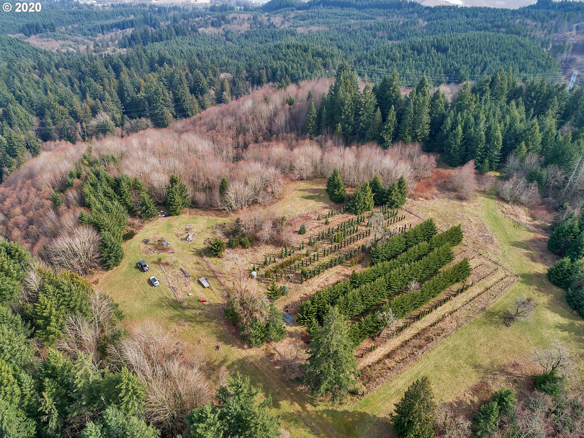 20957 Rocky Point Road Scappoose, OR 97056 - Photo 13 of 27 Gallery Image 13