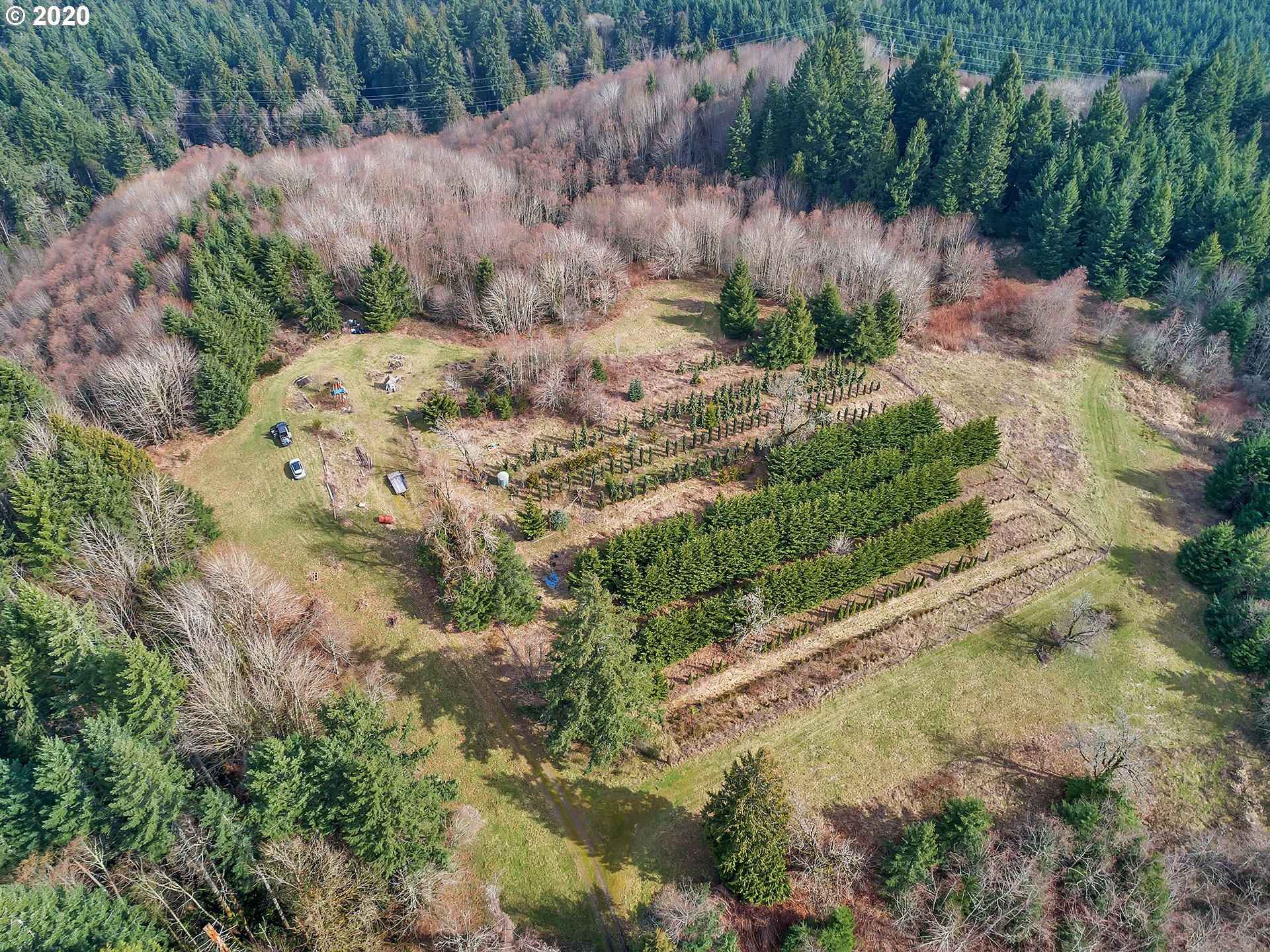 20957 Rocky Point Road Scappoose, OR 97056 - Photo 15 of 27 Gallery Image 15