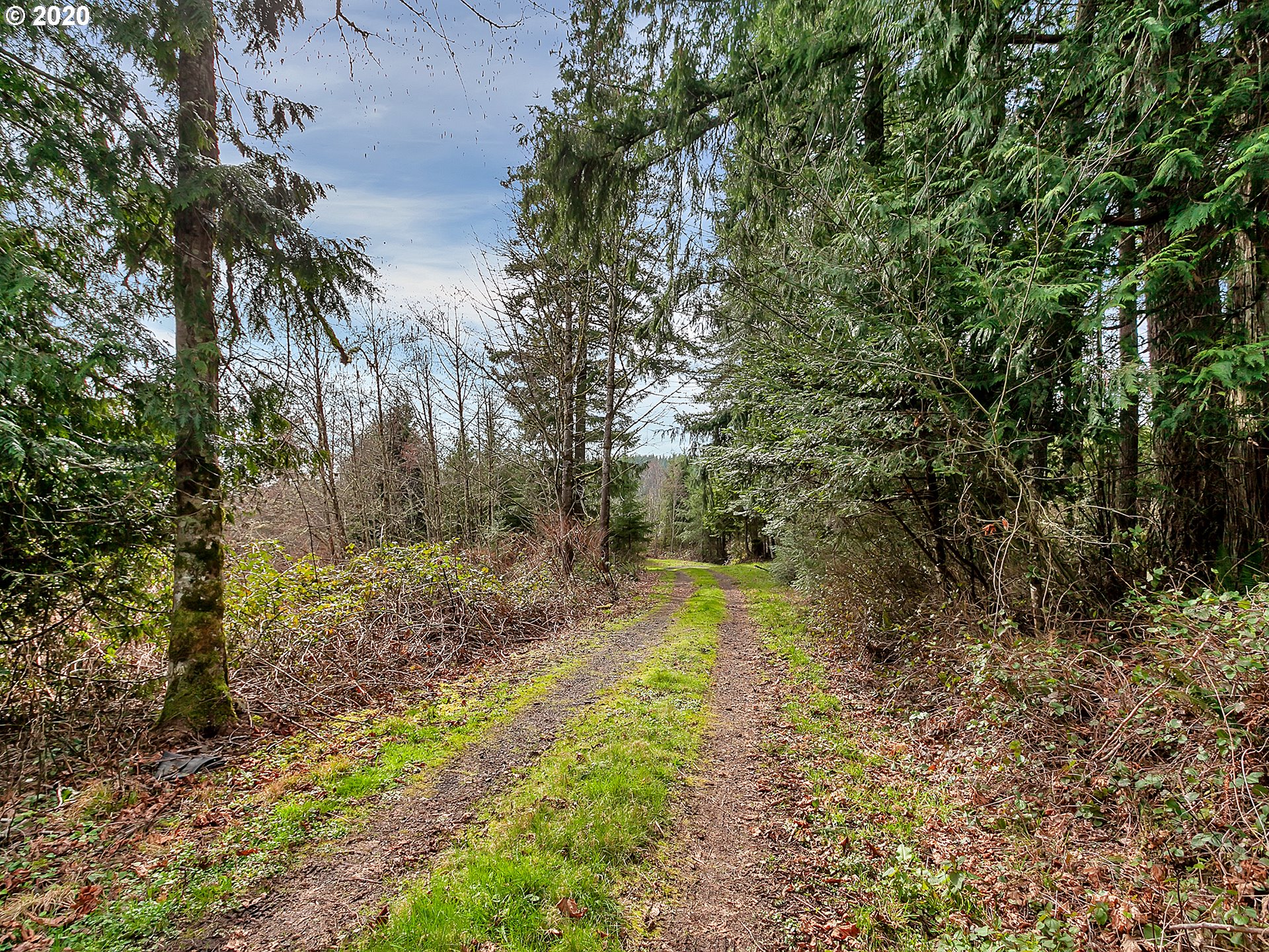 20957 Rocky Point Road Scappoose, OR 97056 - Photo 6 of 27 Gallery Image 6