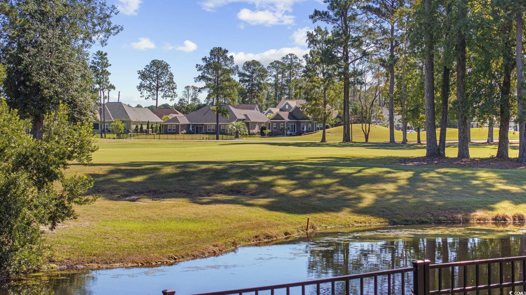 1108 Pochard Drive Conway, SC 29526 - Photo 32 of 37 View of grassy yard with a water view