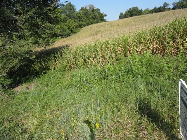 Ac Rube Smith Road Canmer, KY 42722 - Photo 4 of 7 Gallery Image 4