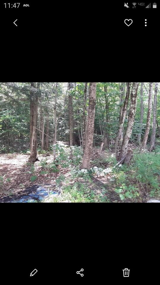 0 Middle Ridge Road Bridgton, ME 04009 - Photo 2 of 2 Land Photo 2