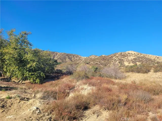 a view of a mountain range with trees in the background