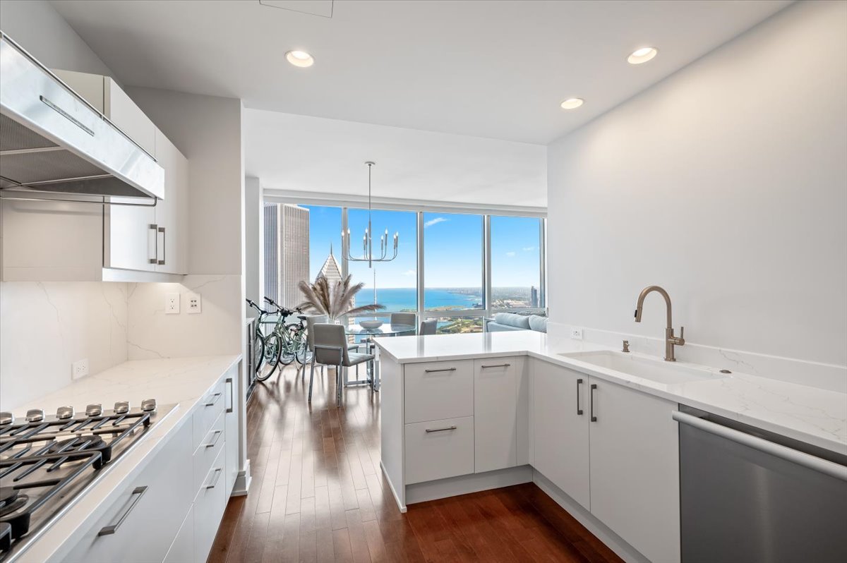 401 North Wabash Avenue, Unit 60F Chicago, IL 60611 - Photo 2 of 46