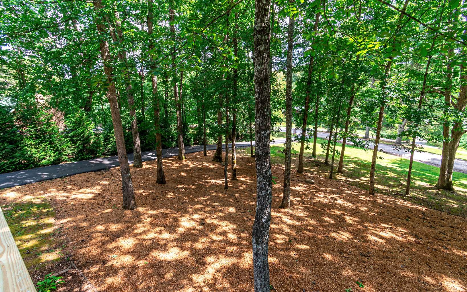 138 Laurel Circle Blue Ridge, GA 30513 - Photo 18 of 54 Additional View
