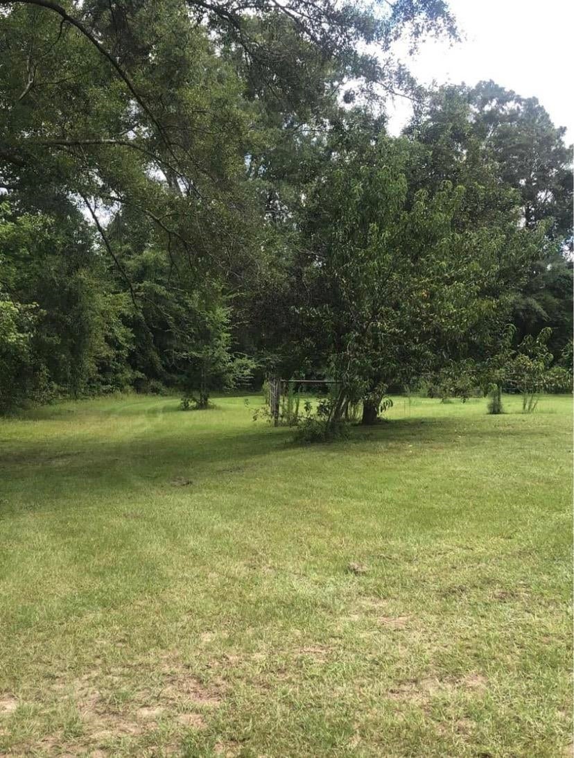 9271 Ivy Creek Road Brantley, AL 36009 - Photo 4 of 29 Gallery Image 4