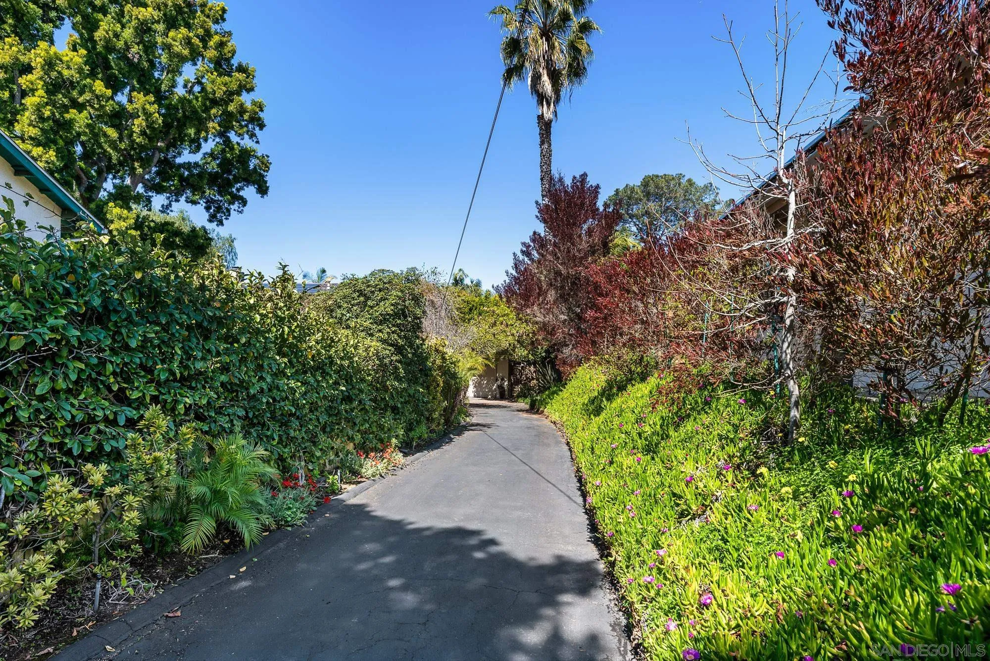 1669 Los Altos Road San Diego, CA 92109 - Photo 55 of 62 a view of a pathway both side of yard