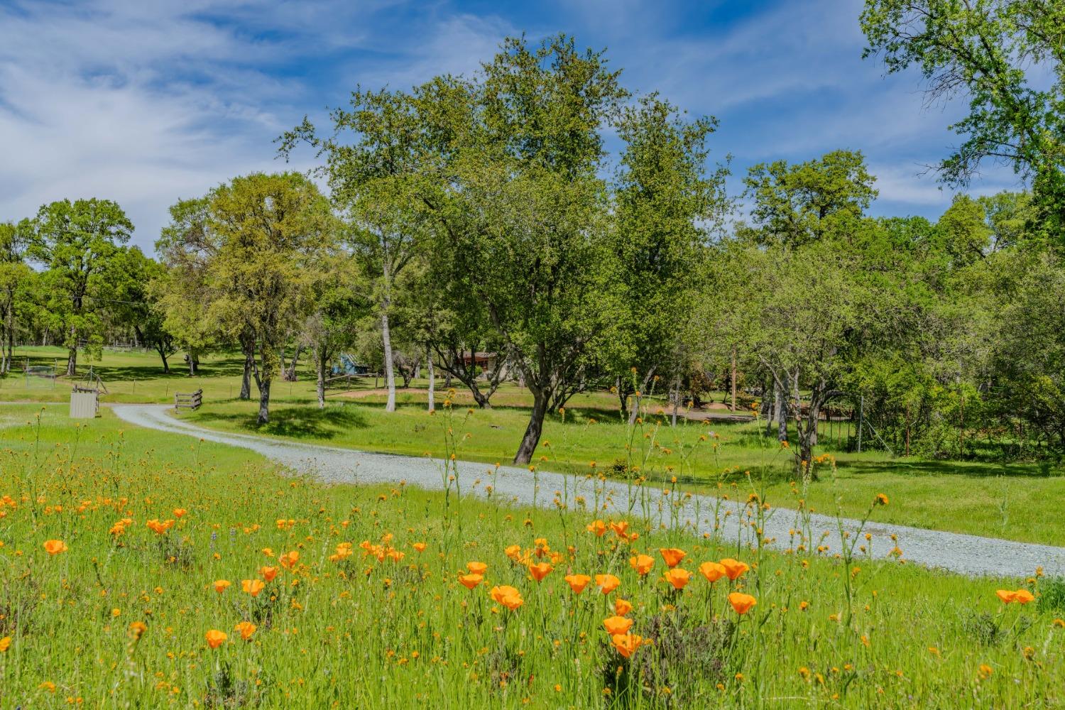 10690 White Oak Road Plymouth, CA 95669 - Photo 56 of 74
