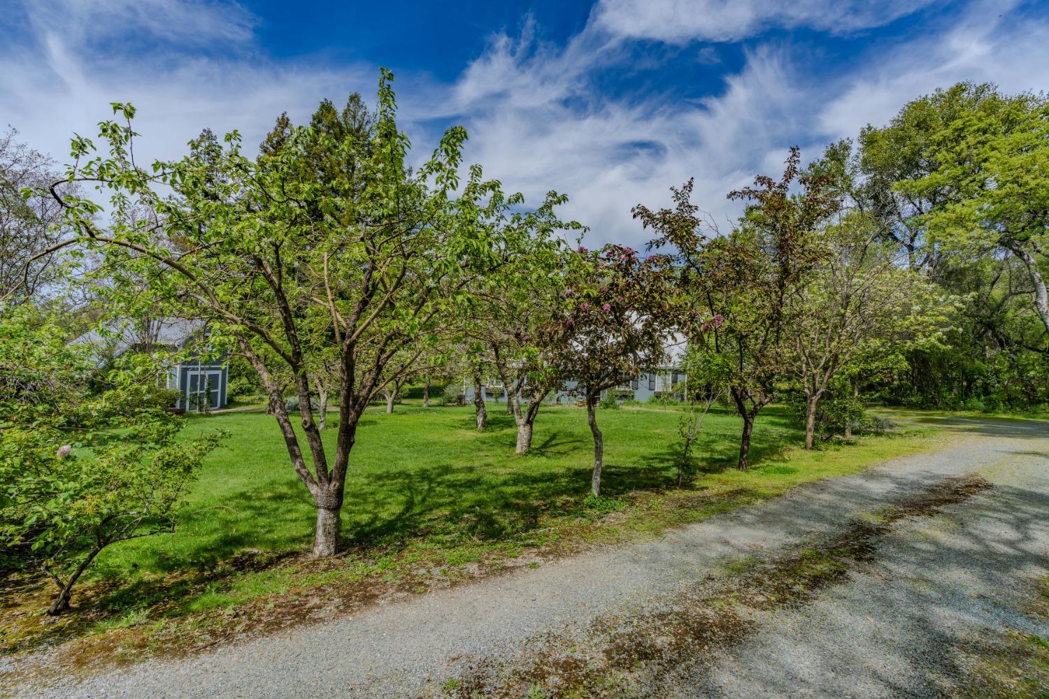 10690 White Oak Road Plymouth, CA 95669 - Photo 74 of 74