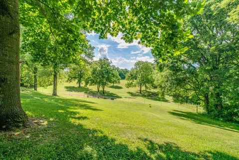 a view of a yard with a tree