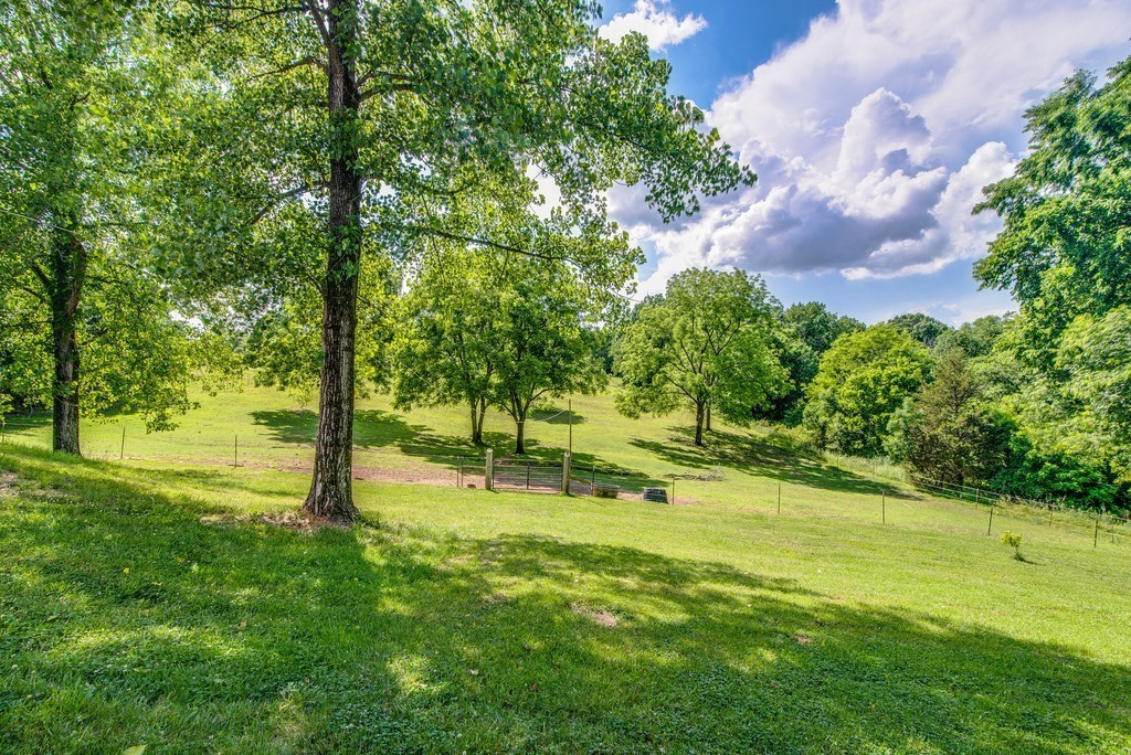 5292 Beckwith Road Mount Juliet, TN 37122 - Photo 6 of 9 a view of a yard with a tree
