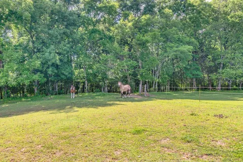 a view of an ocean from a yard