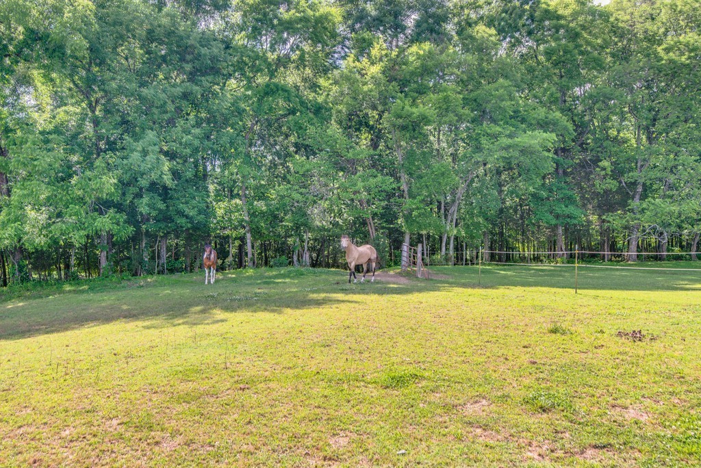 5292 Beckwith Road Mount Juliet, TN 37122 - Photo 7 of 9 a view of a swimming pool with a yard