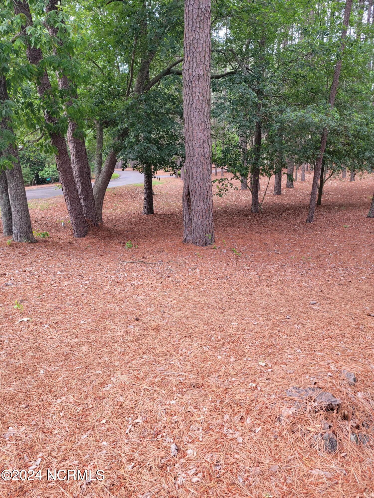 104 Harrell Road West End, NC 27376 - Photo 2 of 6 20240506_170110
