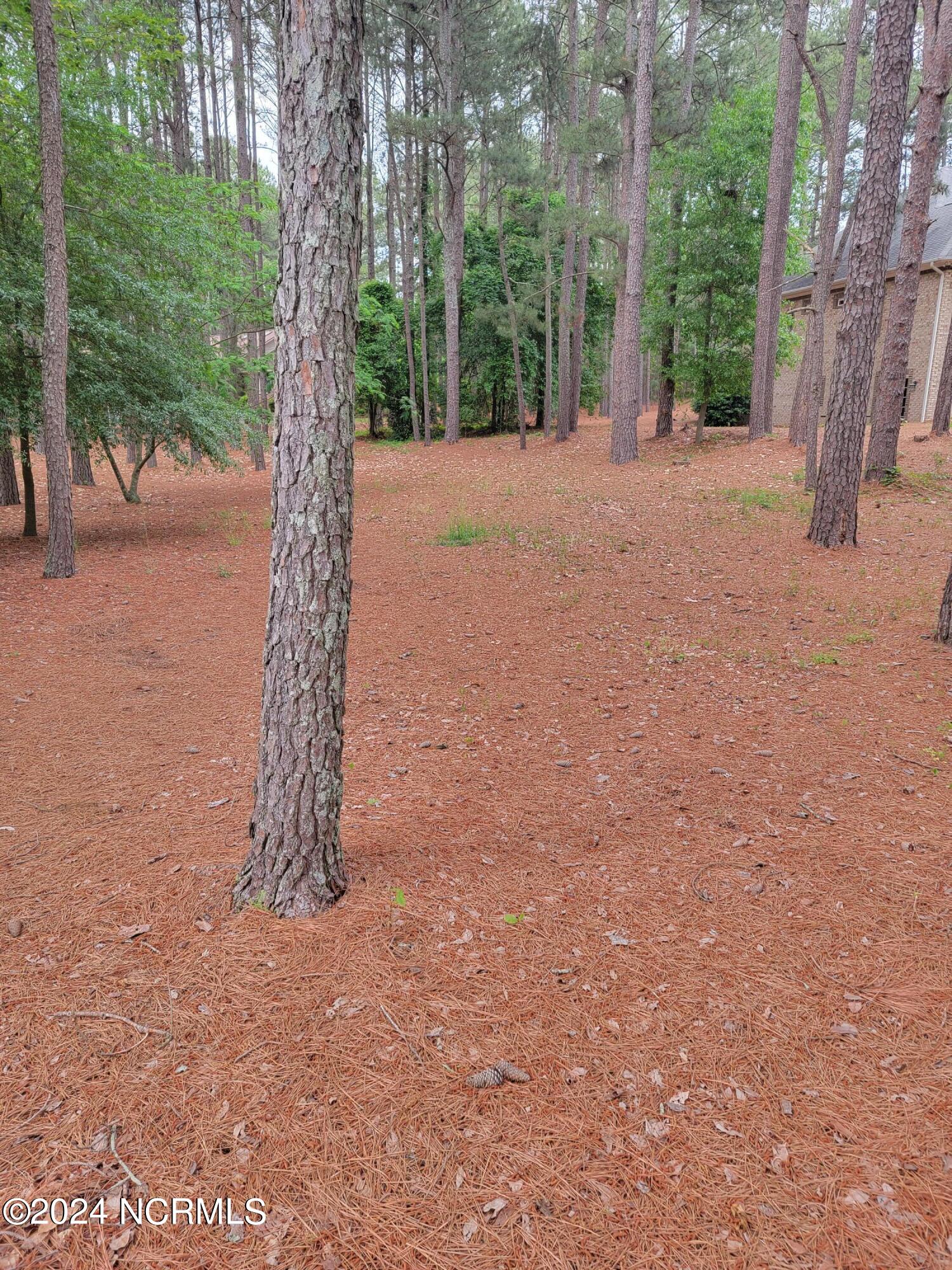 104 Harrell Road West End, NC 27376 - Photo 3 of 6 20240506_170123