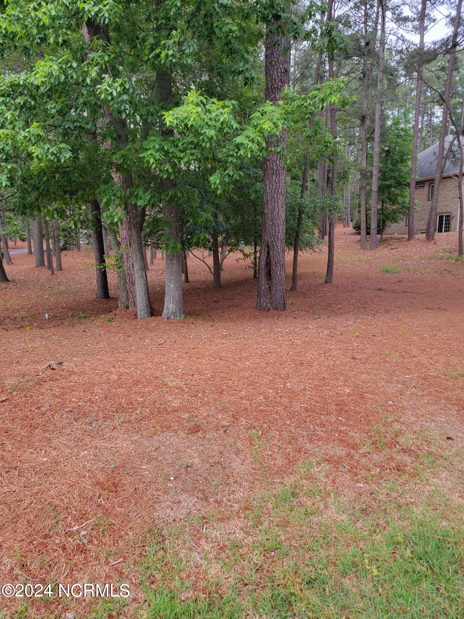 104 Harrell Road West End, NC 27376 - Photo 4 of 6 20240506_170049