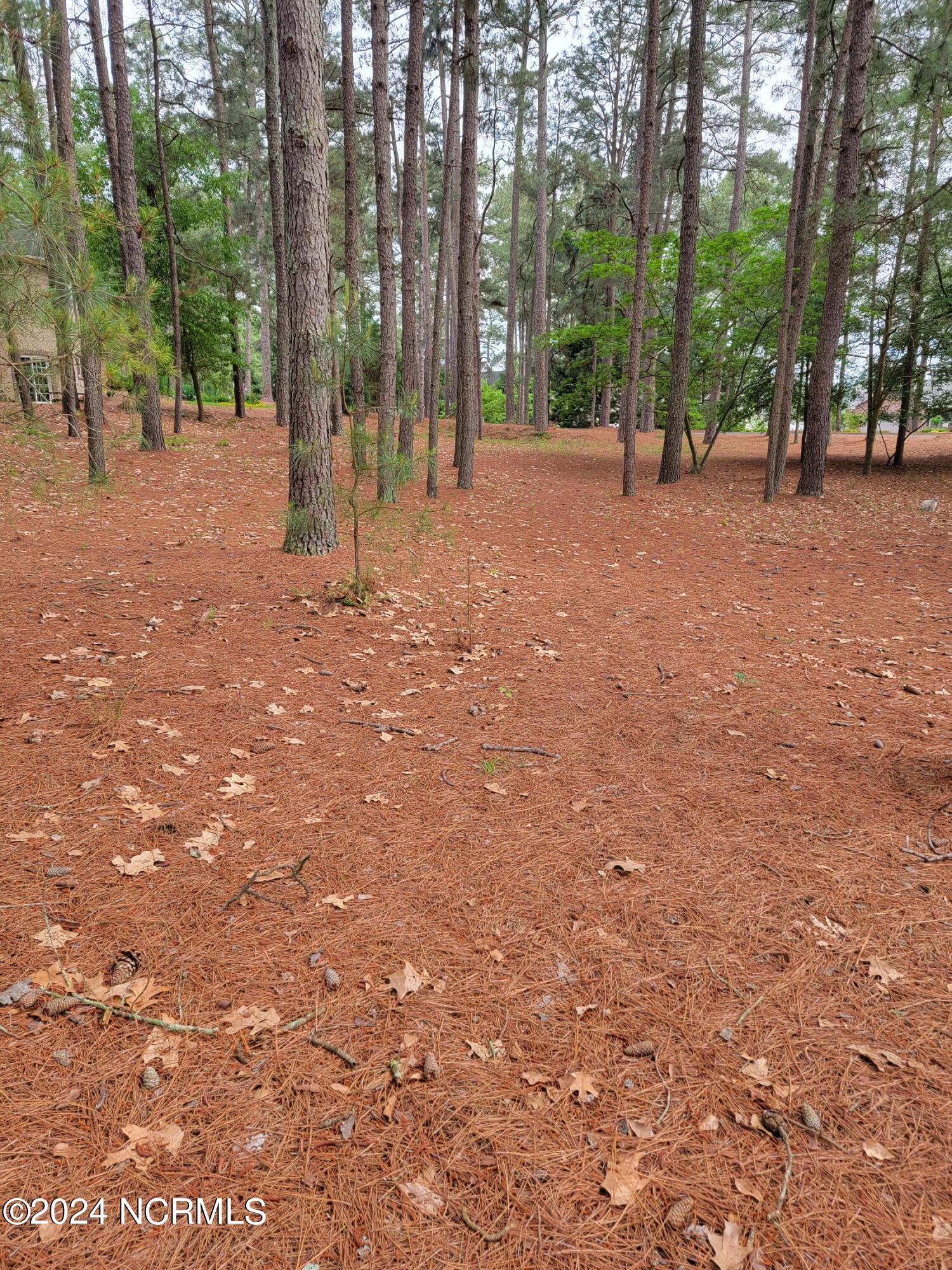 104 Harrell Road West End, NC 27376 - Photo 5 of 6 20240506_170423