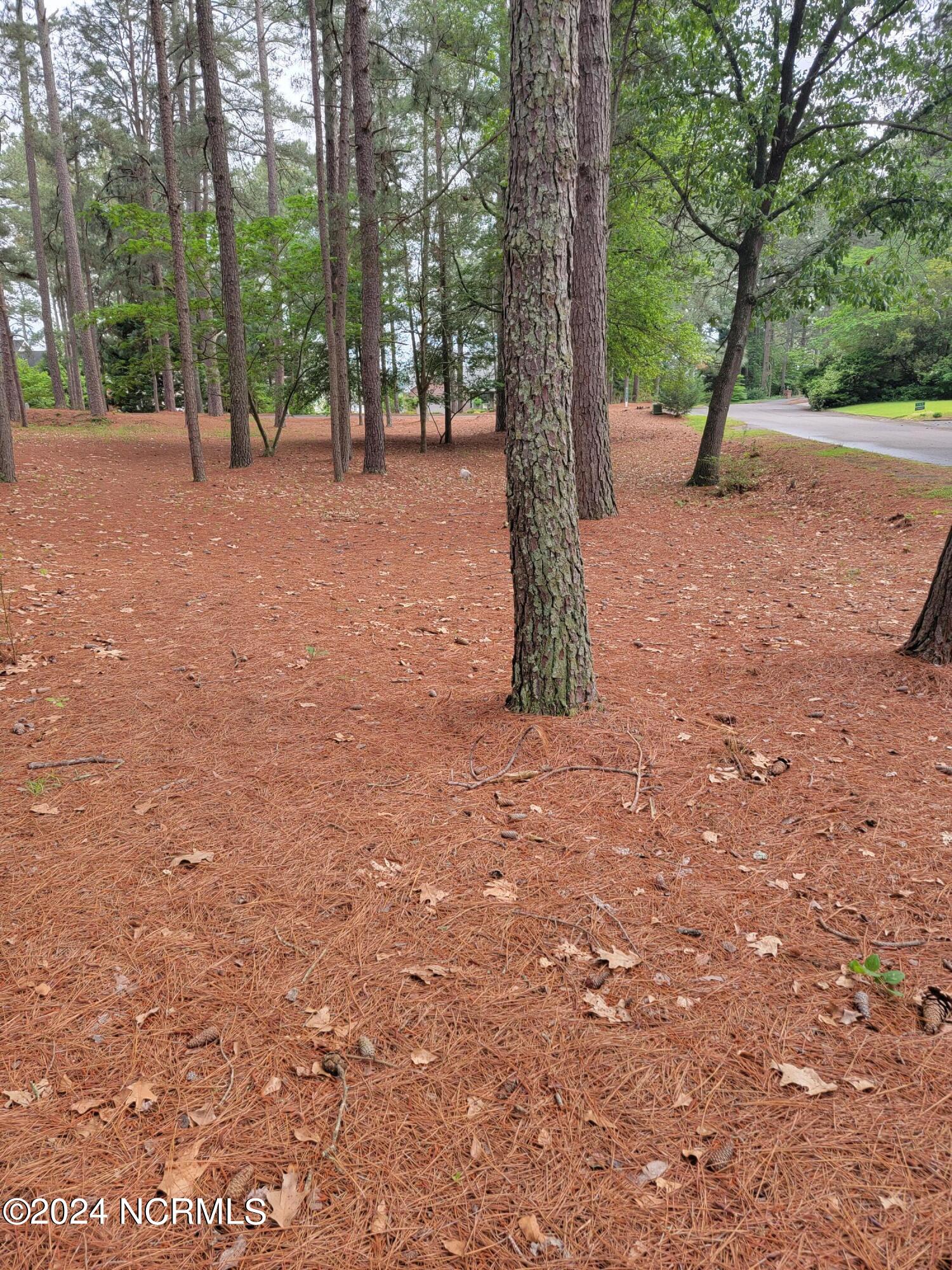 104 Harrell Road West End, NC 27376 - Photo 6 of 6 20240506_170418