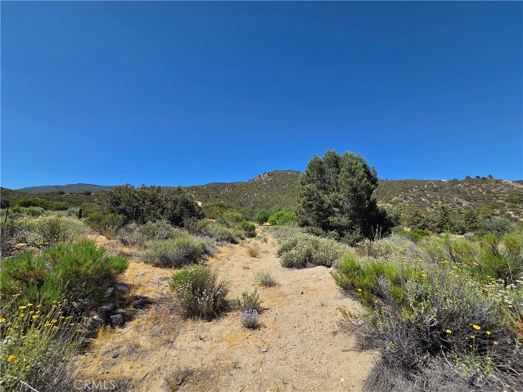 37210 Bohlen Road Anza, CA 92539 - Photo 9 of 22