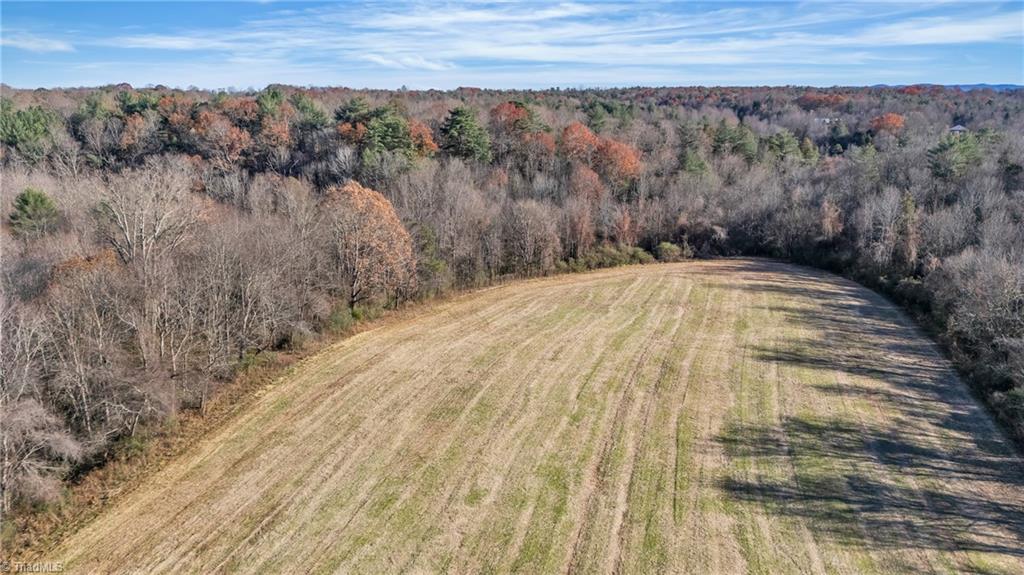 Tbd Greenhorn Road Roaring River, NC 28669 - Photo 5 of 34