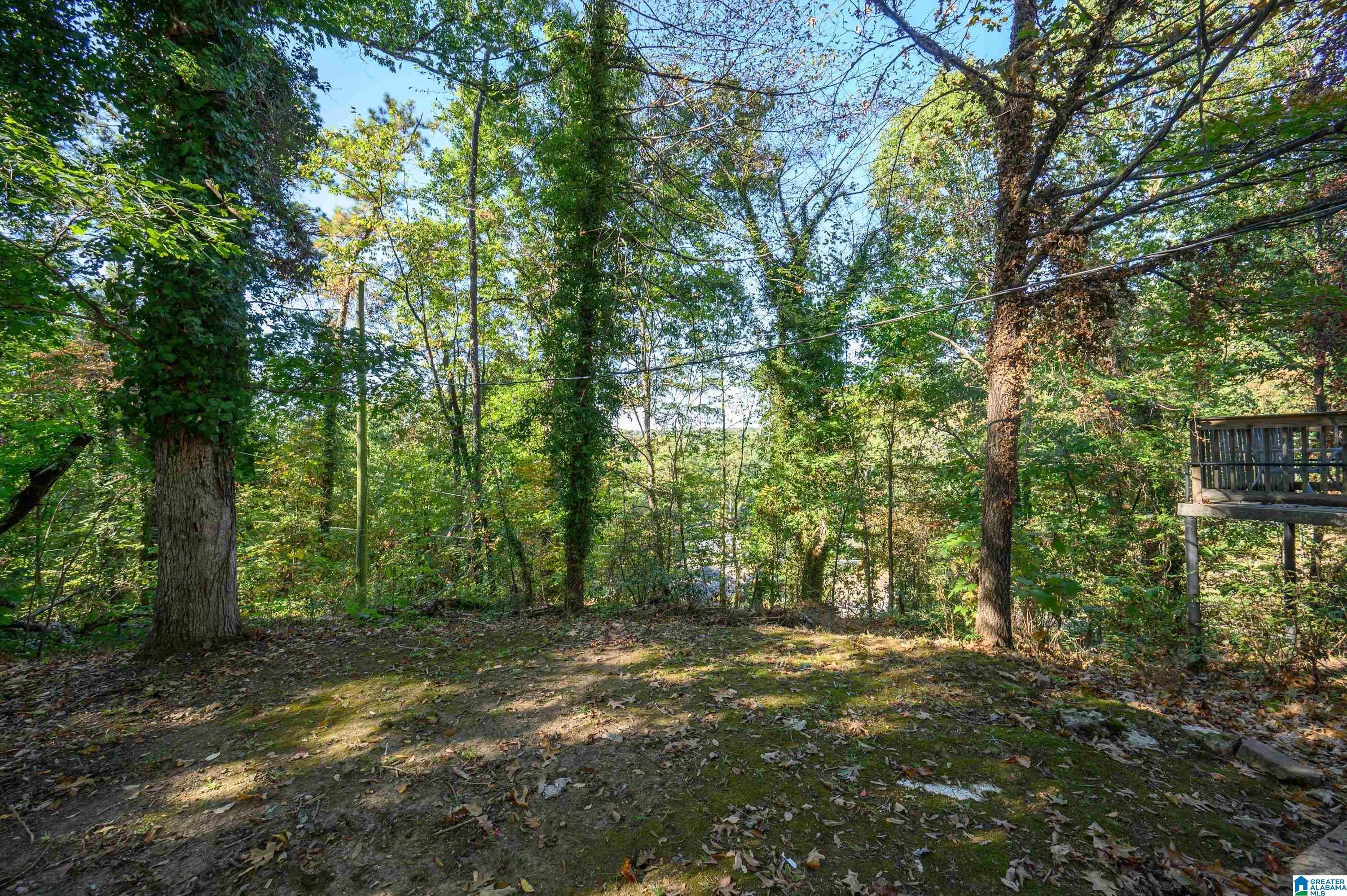1784 Murray Hill Road Homewood, AL 35216 - Photo 46 of 47 Gallery Image 46