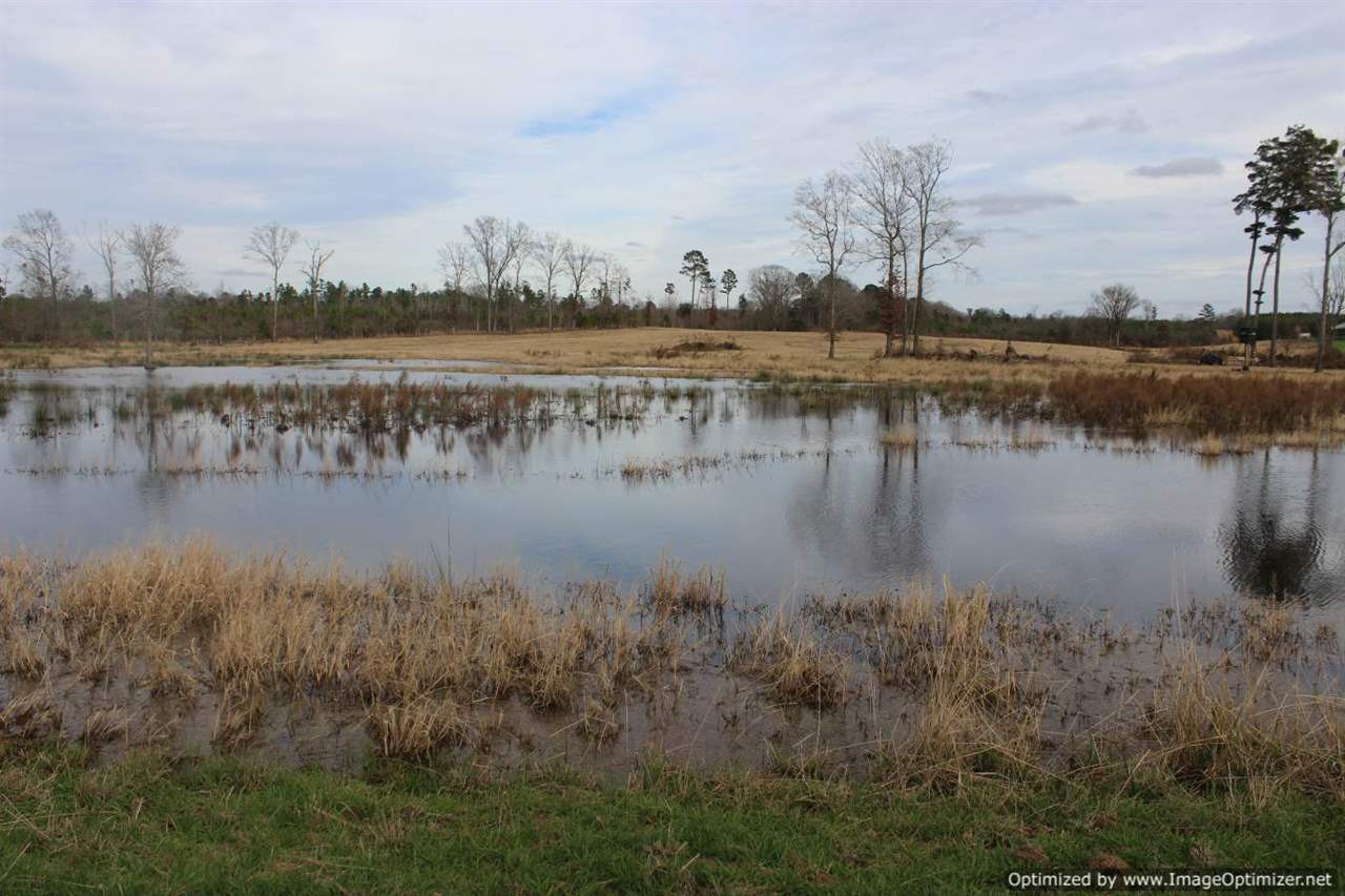 385 Greenwood Chapel Road Carthage, MS 39051 - Photo 11 of 41 Photo 12