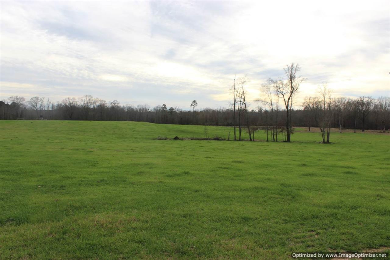 385 Greenwood Chapel Road Carthage, MS 39051 - Photo 17 of 41 Photo 18