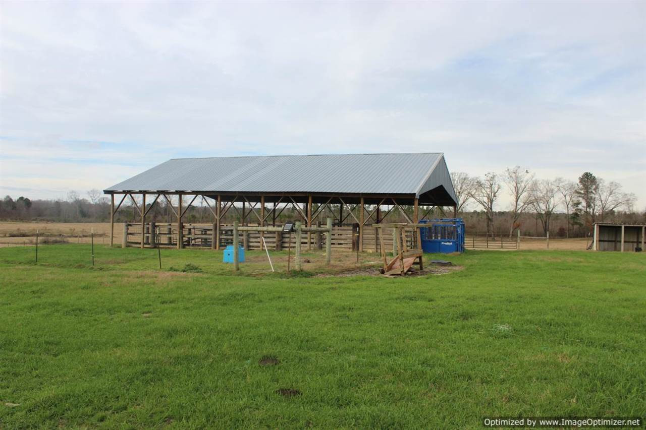 385 Greenwood Chapel Road Carthage, MS 39051 - Photo 18 of 41 Photo 19